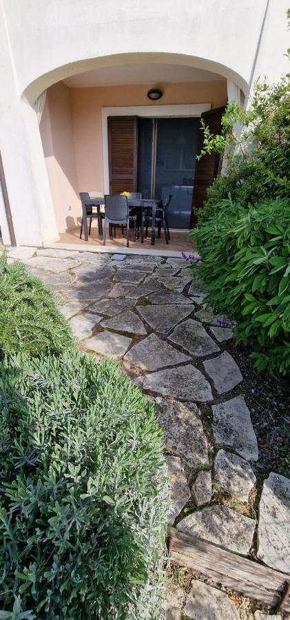 Apartament A Casa Di Daniele Porto Potenza Picena Zewnętrze zdjęcie